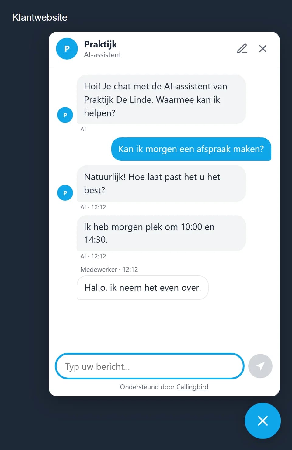 Websitechat met de naam van de praktijk en blauwe accentkleur